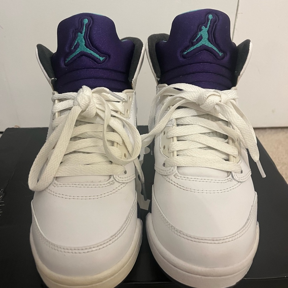 Air Jordan retro 5 grape